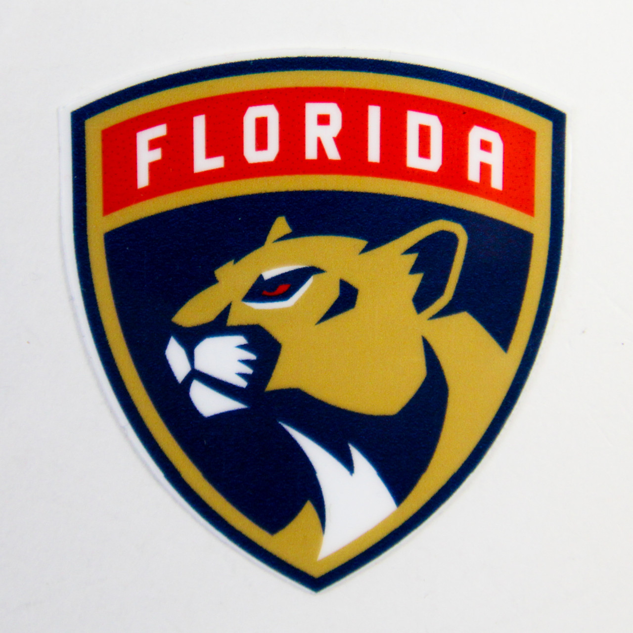 Florida Panthers